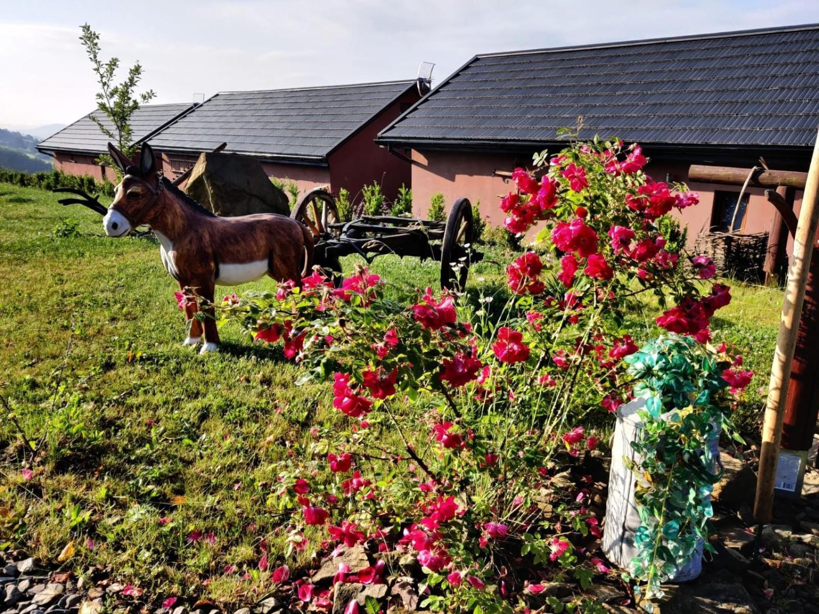 Agroturystyka Faron Rozdziele エクステリア 写真
